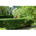 Balanser do nożyc - ELEPHANT’S TRUNK