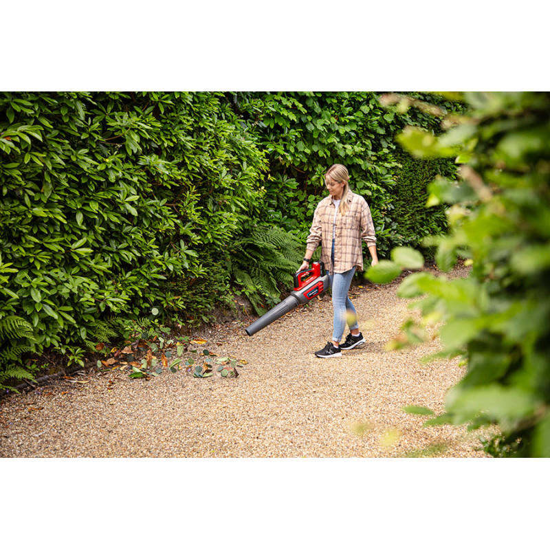 Dmuchawa akumulatorowa Honda HHB 36 AXB + przegląd